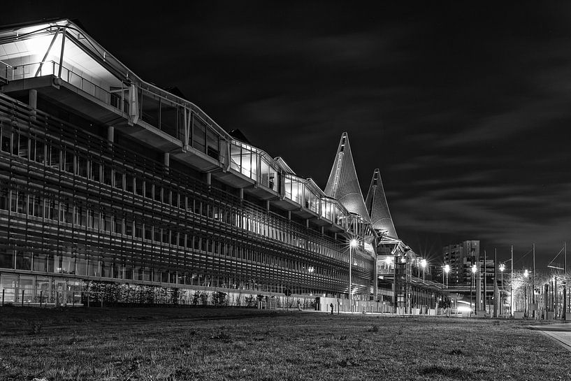 Justitiepaleis Antwerpen by Cris Martinez