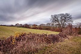 Dikkebuiksweg in Wijlre