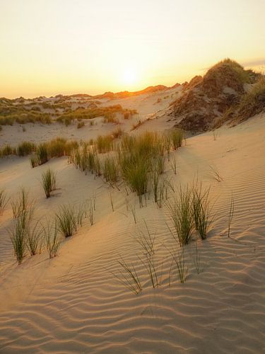 Terschelling, wat een eiland