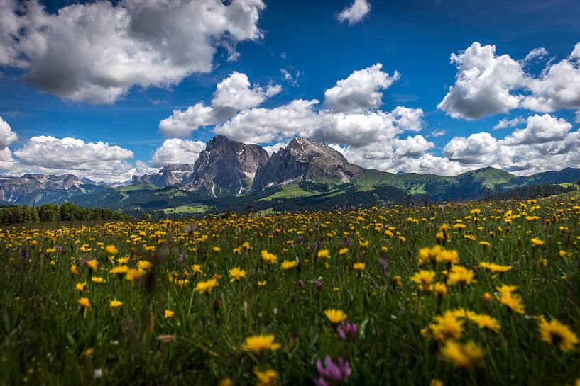 Le Seiser Alm par Nico  Calandra