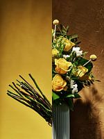 Stems