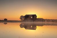 Magical morning