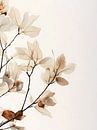 spring is coming by haroulita thumbnail