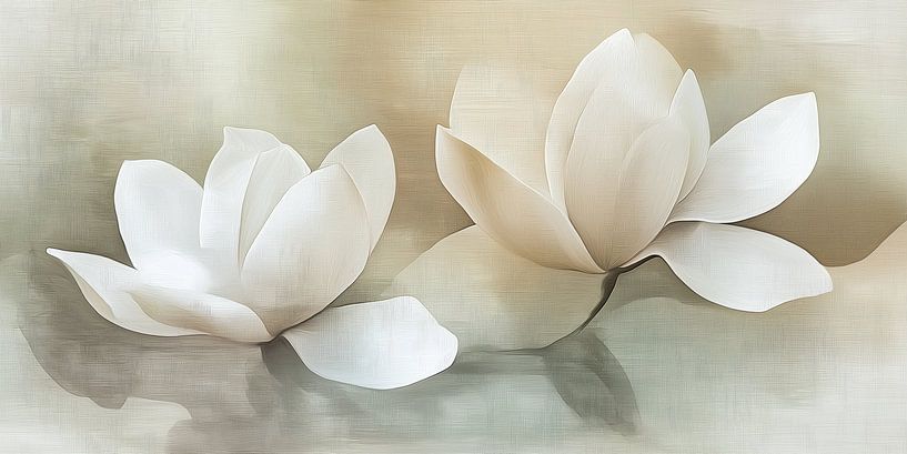 Magnolie von Imagine