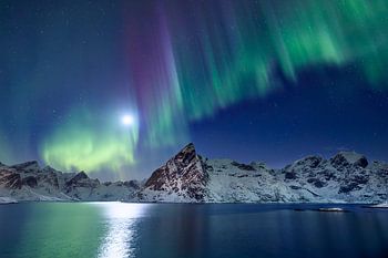 Magisches Nordlicht mit Mond bei Reine, Lofoten, Norwegen