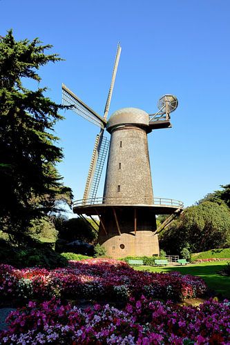 Nederlandse windmolen in San Francisco