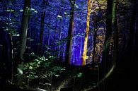 Een stukje magie, verborgen aan de rand van Kralingse Bos van Tjeerd Kruse thumbnail
