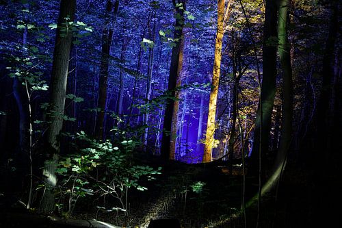 Een stukje magie, verborgen aan de rand van Kralingse Bos