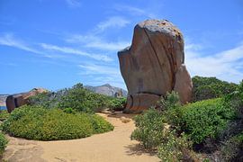 Fluitende rots van Frank's Awesome Travels