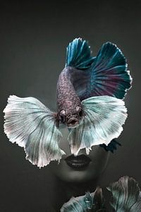 Pêche III