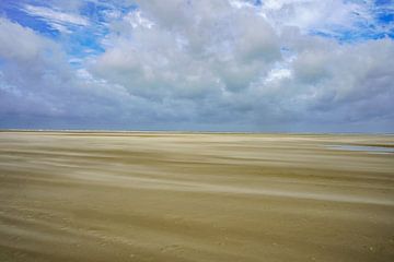 Texels grootste strand van BekijkhetmetWim