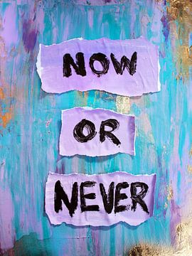 Now or Never van Julia Hirschfeld