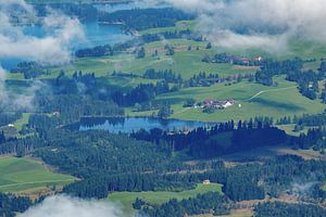 Zwischen Wald und Wasser: Die Ruhe des Hegratsrieder Weihers
