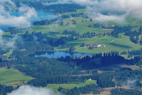 Entre forêt et eau : la tranquillité de l'étang d'Hegratsried