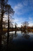Reflections