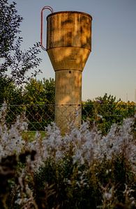 Wasserturm im Abendlicht – Industrielle Ruhe inmitten von Natur