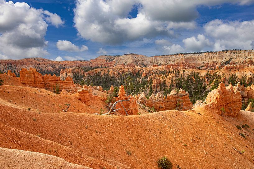 Bryce Canyon National Park, Utah USA by Gert Hilbink