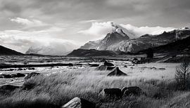Zwart-wit fotografie met landschap