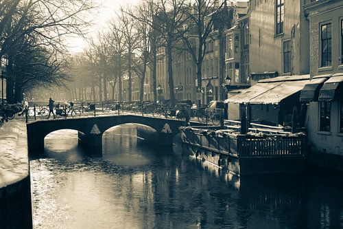 Sfeervol Den Haag II