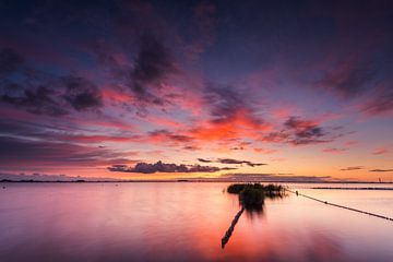 Soleil du soir en Frise sur Damien Franscoise