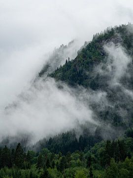 Mist en wolken in de bossen van Noorwegen van Teun Janssen