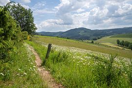 Landschaft um Winterberg, Sauerland, Deutschland von Alexander Ludwig