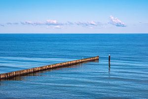 Buhnen an der Küste der Ostsee in Nienhagen