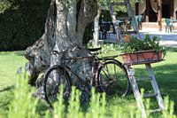 Verlassenes Fahrrad