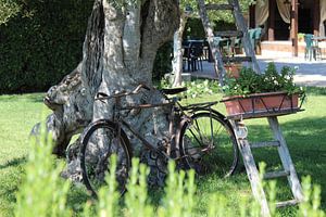 Verlaten fiets van Eriks Werk