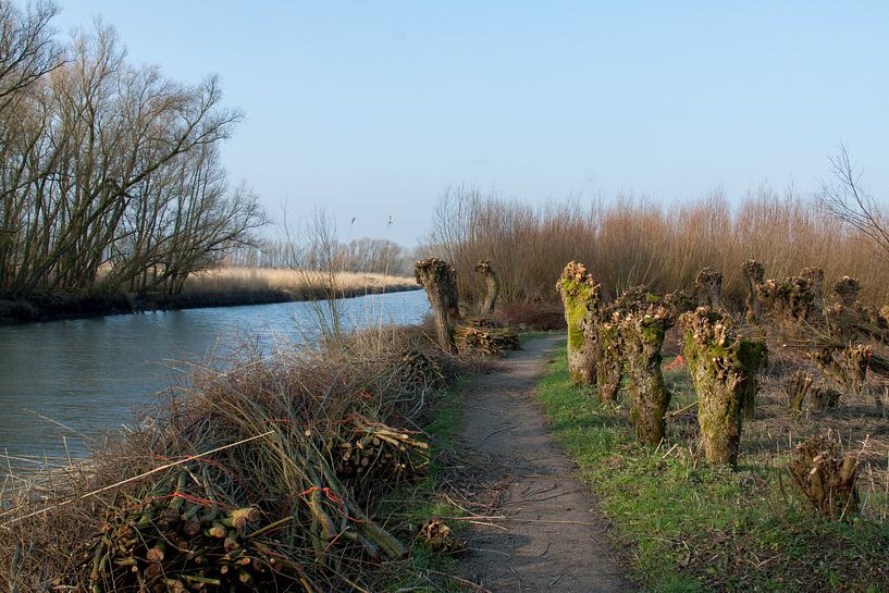 Rhoonse Grienden 06 par Hans Blommestijn