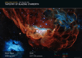 Tapestry of Blazing Starbirth von Deep Field