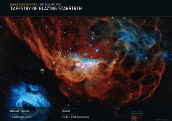 Tapestry of Blazing Starbirth