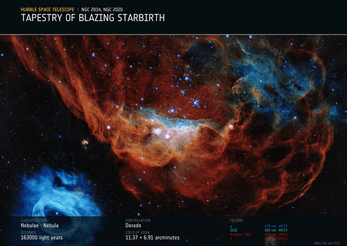 Tapestry of Blazing Starbirth