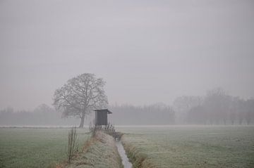 Vogelbeobachtung in der Achterhoek von Tania Perneel