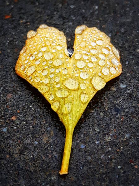 Golden Heart by Marije Zuidweg