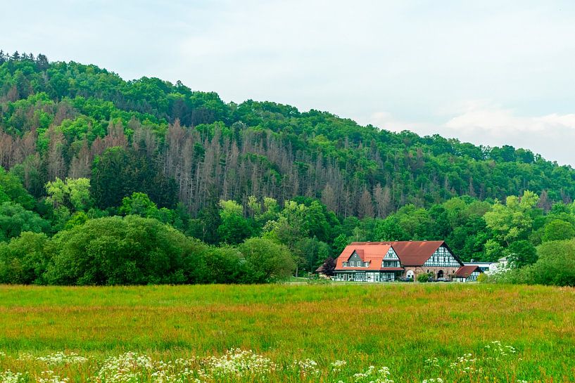 Randonnée estivale à vélo dans les environs de Schmalkalden jusqu'à la vallée de la Werra près de Fambach - Thuringe - Allemagne par Oliver Hlavaty