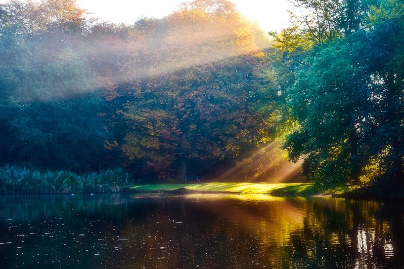 Kleurenspel in het Haagsche bos van Jan Radstake