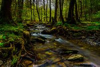 Winding brook in the Eifel