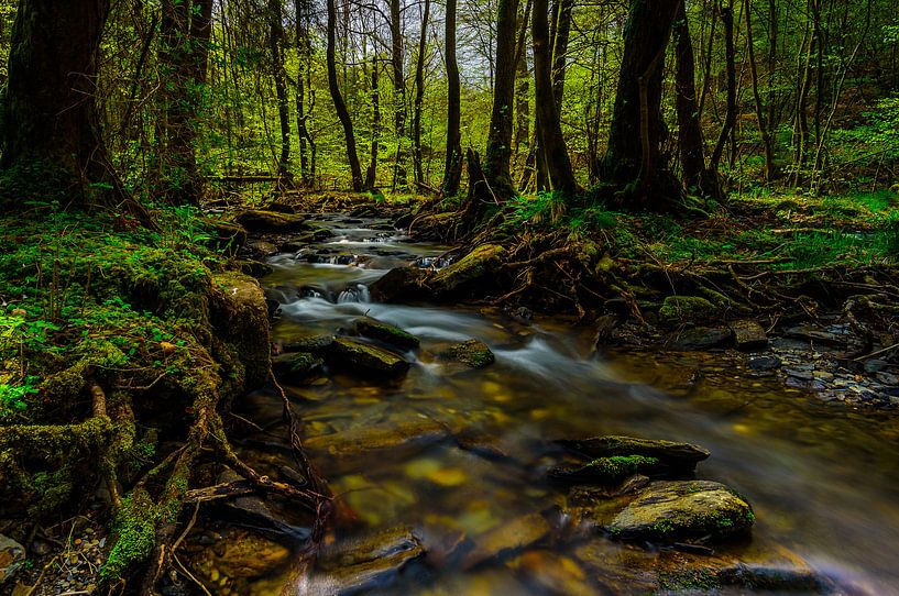 Kronkelende beek in de Eifel van Eelke Brandsma