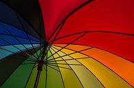 Onder kleurrijke paraplu van Judith Spanbroek-van den Broek thumbnail