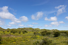 Bilder von der Nordseeinsel Borkum. von Bianca Meyering Fotos - BMF