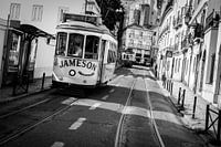 Tram 28 