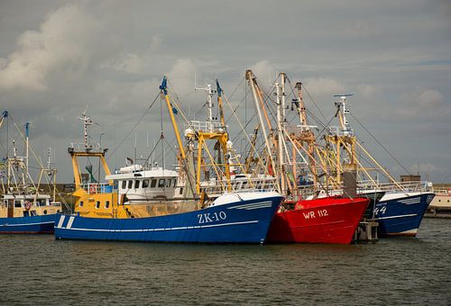 Visser kotters afgemeerd aan de steigers in Lauwersoog