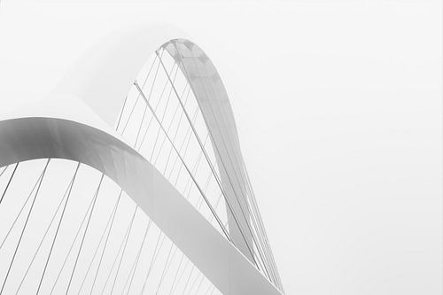 White Crossing by Maerten Prins