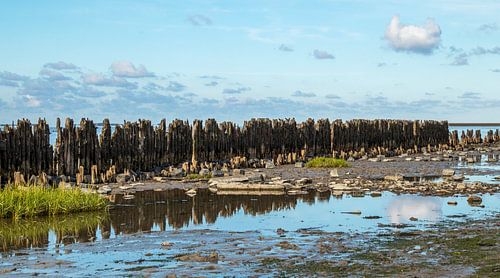 Paesen's Schlammloch