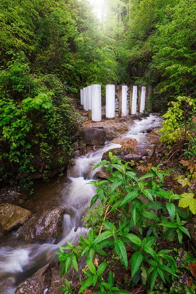 Man and nature by Severin Pomsel