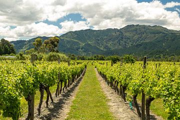 Freedom in frameworks