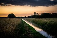 Dampende rivier De Reusel in de avond