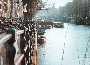 Vrij als een vogel (Amsterdam) von Ali Celik