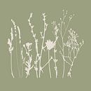 Meadow Botanical art in Sage Green en Beige nr. 7 van Dina Dankers thumbnail